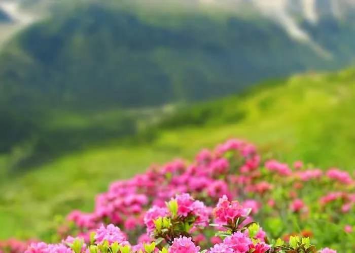 Marie Paradis 霞慕尼