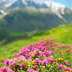 Marie Paradis Chamonix