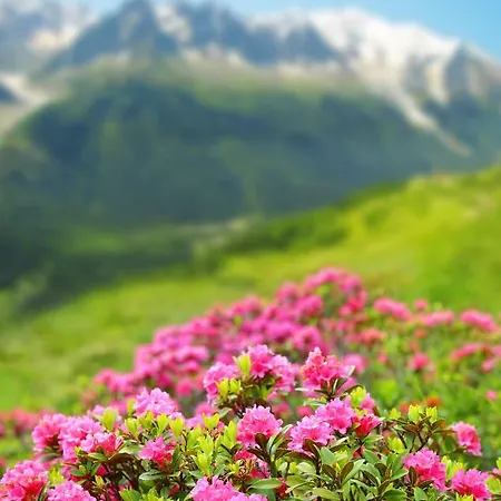 Marie Paradis Chamonix